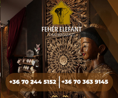 Fehér Elefánt Thai Masszázs
